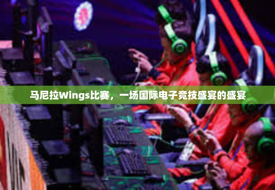 马尼拉Wings比赛，一场国际电子竞技盛宴的盛宴