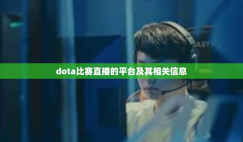 dota比赛直播的平台及其相关信息