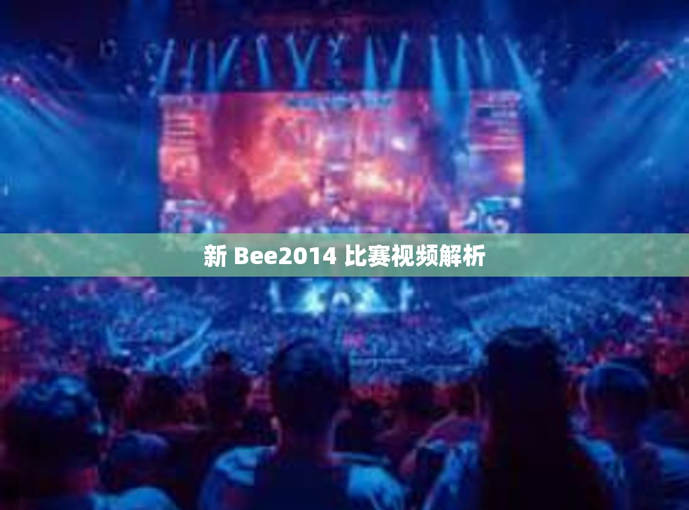 新 Bee2014 比赛视频解析