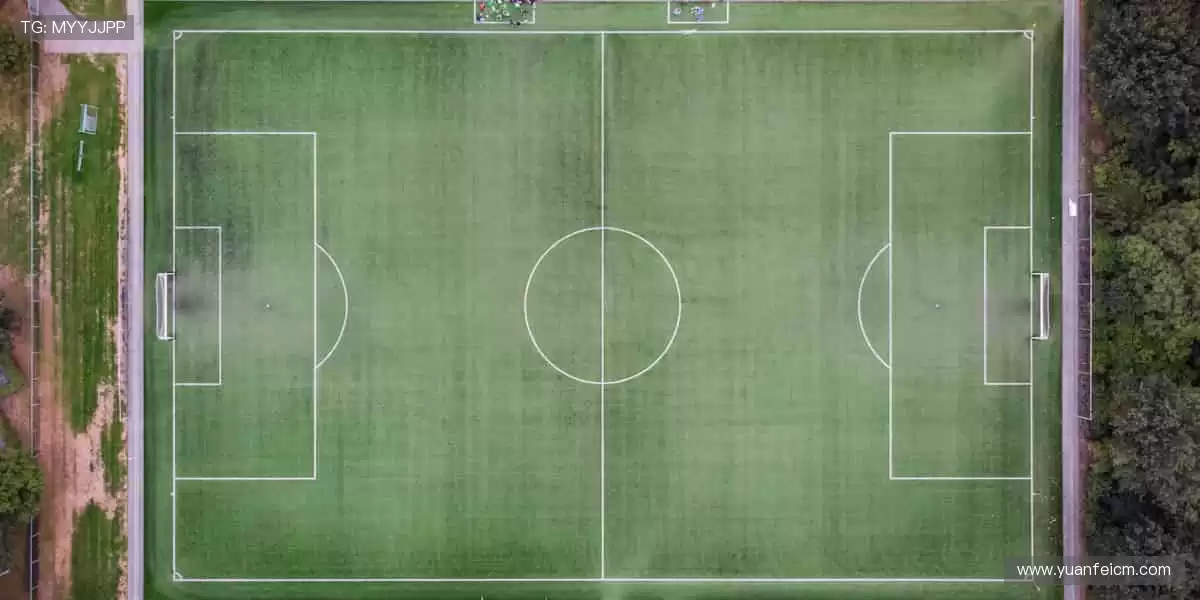 实时直播，身临其境！🎥